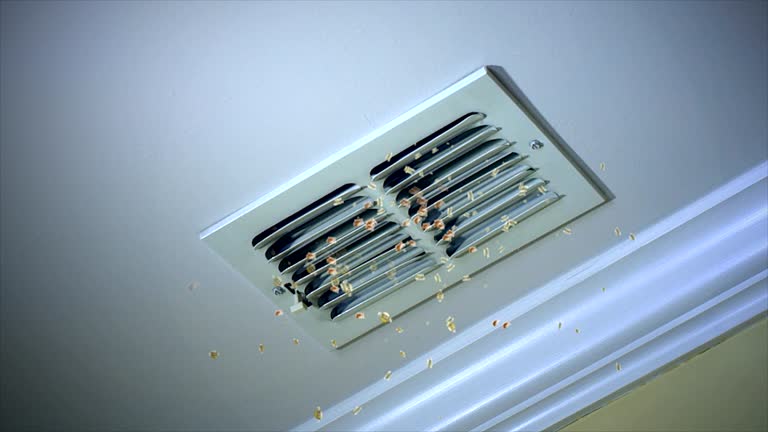 Best Commercial Air Duct Cleaning  in Broxton, GA